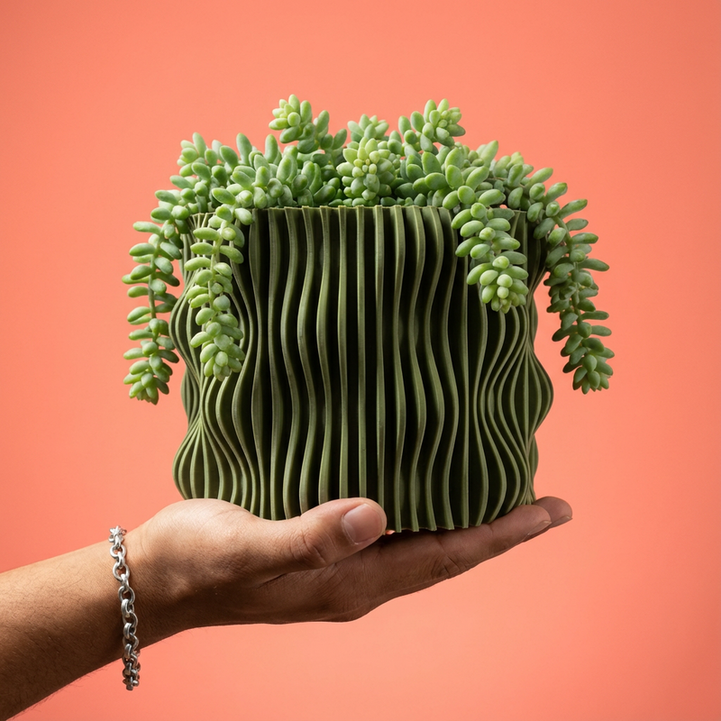 Hand holding a wavy-patterned green pot with succulents against a coral background