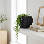 Black textured planter with a green plant on a white surface next to books and a framed picture.