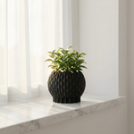 Black textured vase with a plant on a marble surface near a window