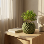 Green potted plant on a wooden table with a book and lamp in a softly lit room.