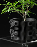 Black wavy-patterned planter with a small plant on a reflective surface against a black background