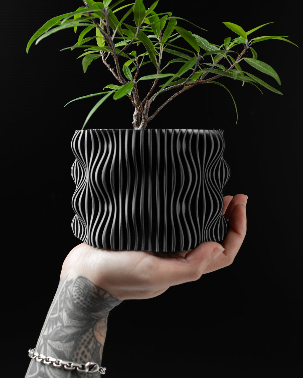 Hand holding a black planter with a plant against a black background