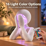 White NObody Lamp glowing purple beside its remote with 16 light color options