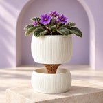 Purple African violet in a white Pallas planter on a stone pedestal in a lavender alcove