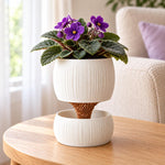 White Pallas planter holding purple African violets on a round wooden table beside an armchair