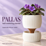 Pallas self-watering planter graphic styled with purple African violets; text notes plant not included