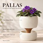 Pallas diagram labels the fine ribbed finish, wave-textured core and open water reservoir; plant not included