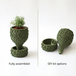 Green textured plant pot with a plant on a white background, showing fully assembled and DIY kit options.