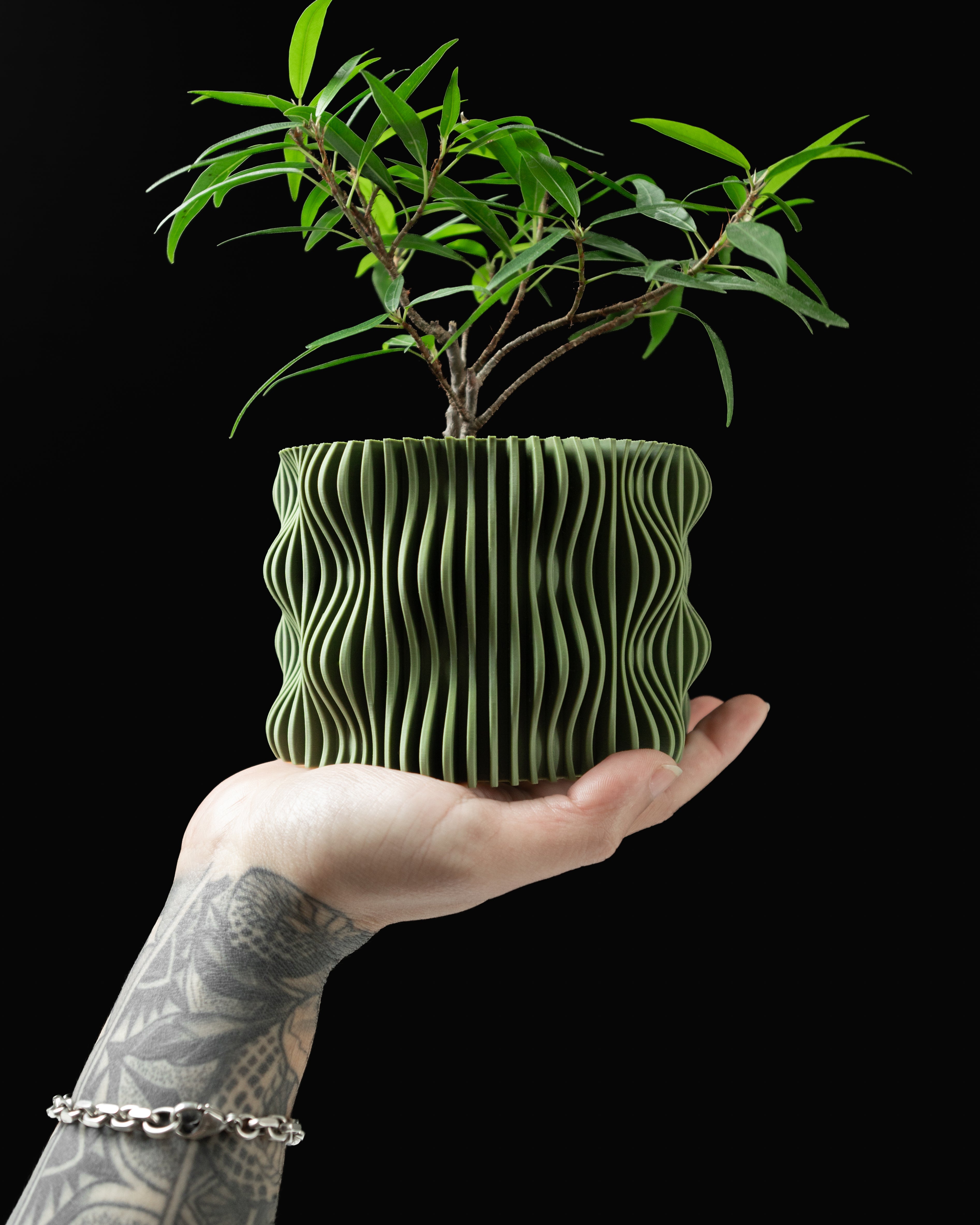 Hand holding a olive green planter with a plant against a black background