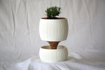 White Pallas planter holding a small green plant, shown against draped white fabric