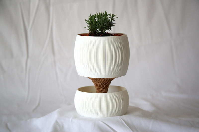 White Pallas planter holding a small green plant, shown against draped white fabric
