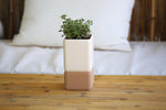 Manul Self-Watering Planter