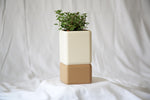 Manul Self-Watering Planter