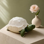 Tortoise Lamp