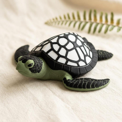 Sea Turtle Lamp