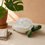 Sea Turtle Lamp