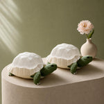 Turtle Night Light Set