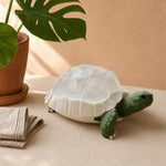 Tortoise Lamp