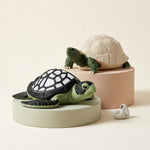 Sea Turtle Lamp