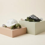 Turtle Night Light Set
