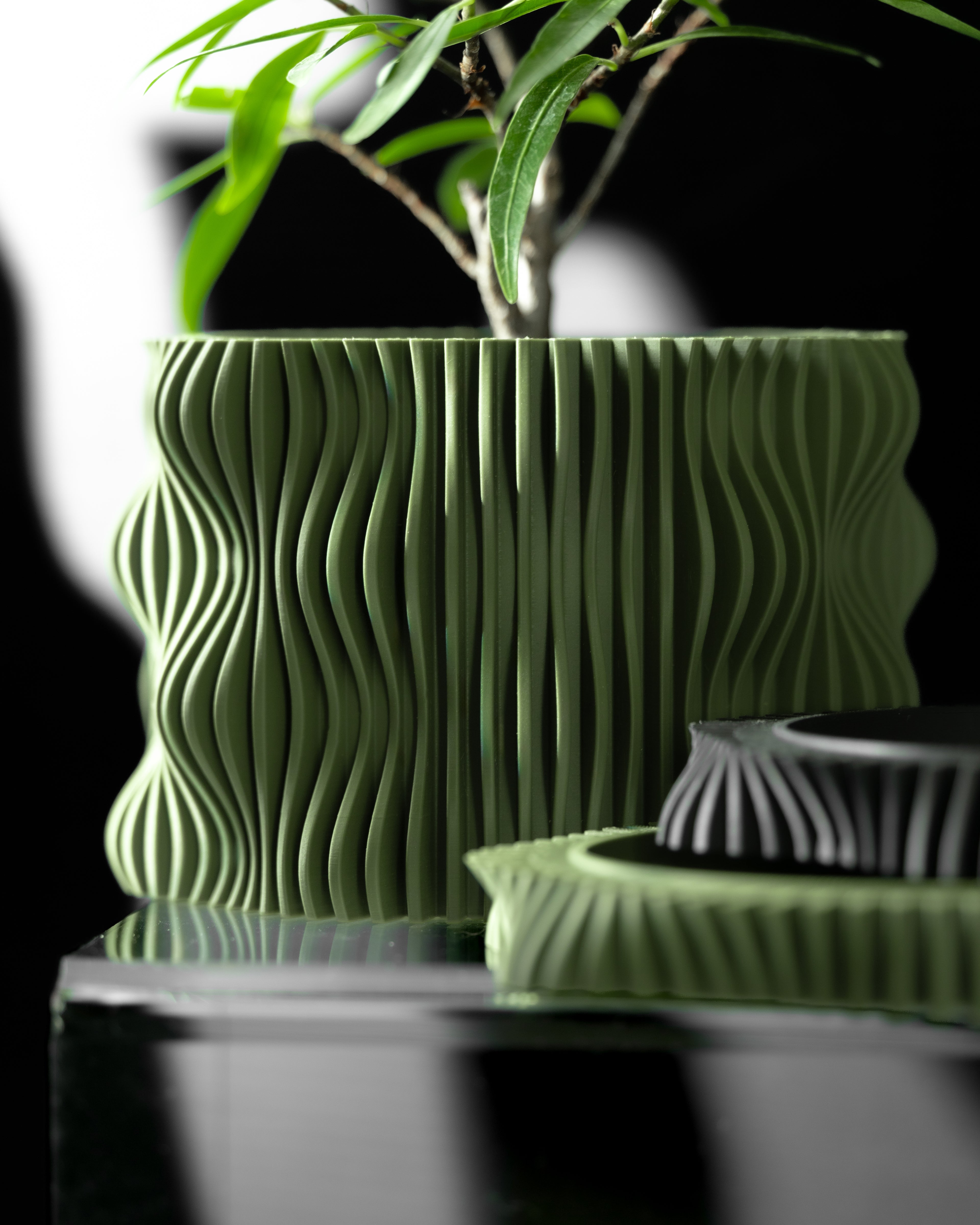 Green textured planter with a plant on a reflective surface