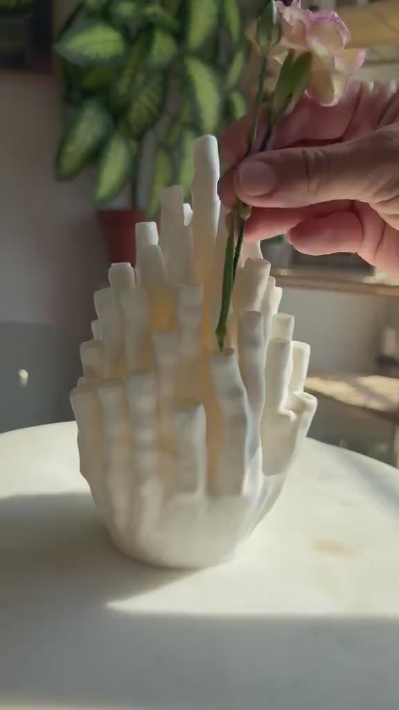 Coral Vase product demonstration 1 from Etsy