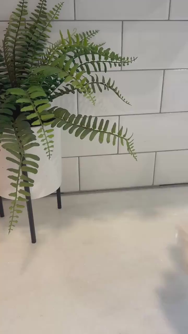 Coral Vase V4 product video